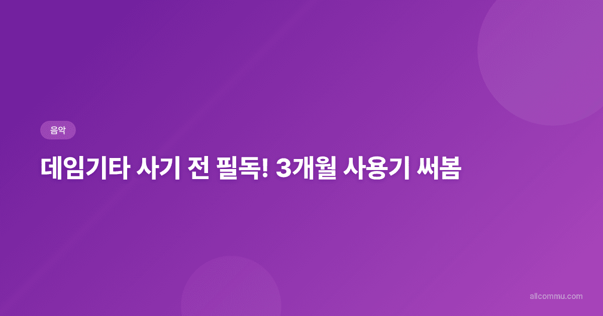데임기타, 20만원대에서 이만한 기타는 없다